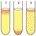 CIÊNCIAS DA NATUREZA E SUAS TECNOLOGIAS • 2º DIA • CADERNO 5 • AMARELO