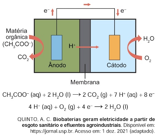 Professor Leonardo Miranda Rino Ramos Química