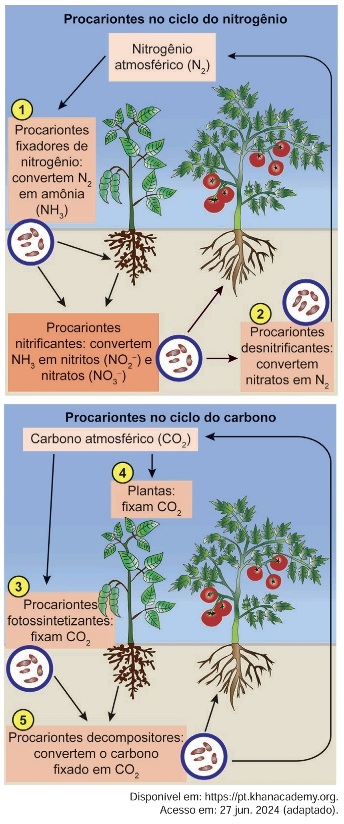 Professor Leonardo Miranda Rino Ramos Química