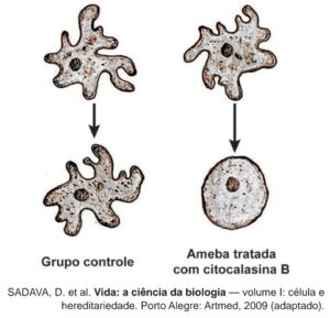 Enem 2024 ciências da natureza professor Rino miranda